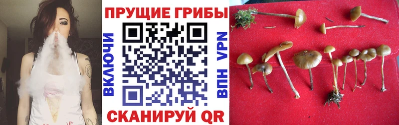 Псилоцибиновые грибы мухоморы  Гороховец 